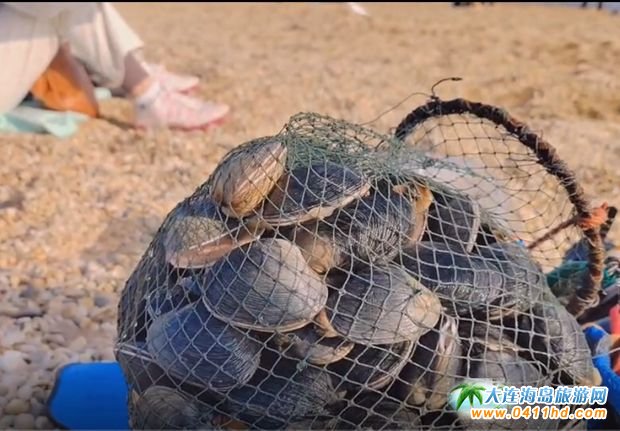 ���B���M���s��