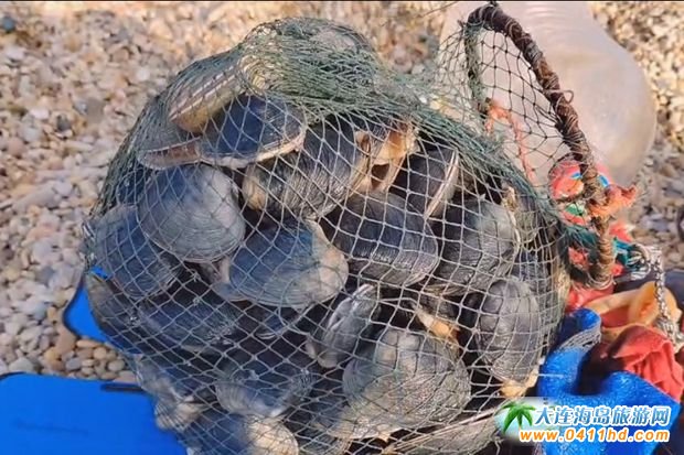 ���B���M�Ժ��r