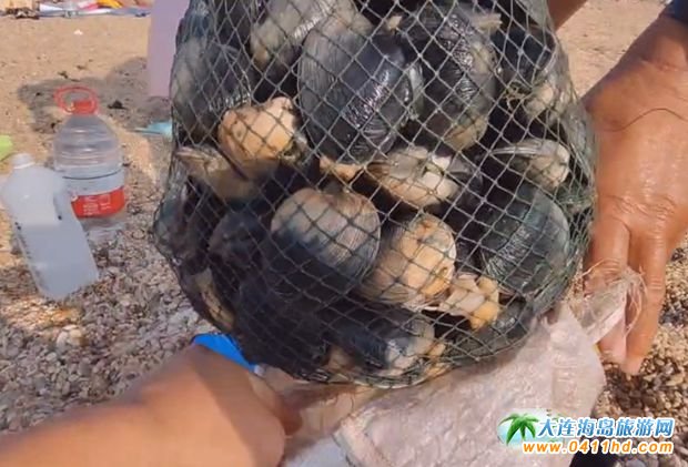 ���B����