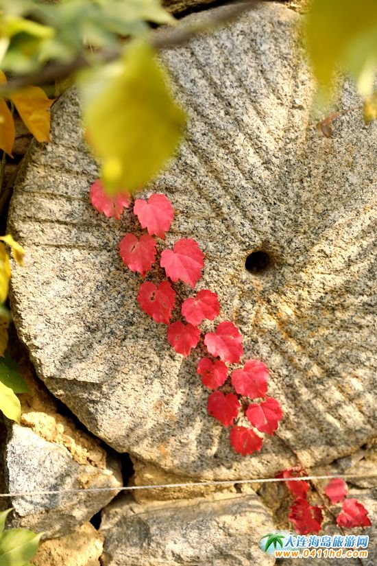 ���B�����˵ĹPӛ:�l(f��)����ʳ