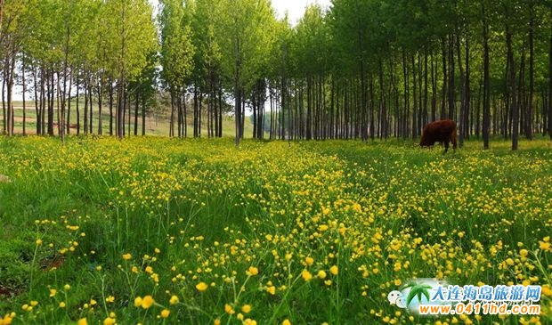 �L(zh��ng)���h��(chu��ng)����(gu��)�Ҽ�(j��)���ζȼم^(q��)