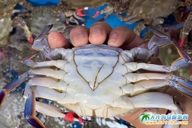 �L(zh��ng)ɽȺ�u��(gu��)�Ҽ�(j��)���ζȼم^(q��)