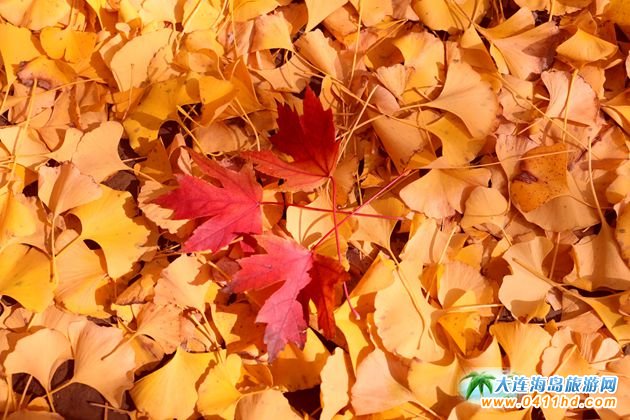 ��ʮ��ʢ���GԴ�����p����