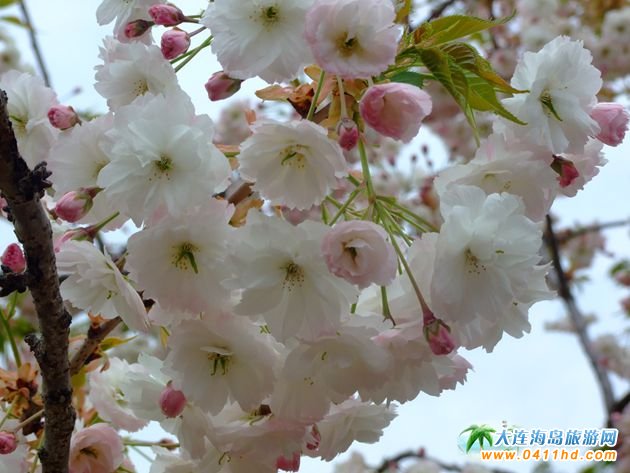 ���B����̤���p���ġ����ء�