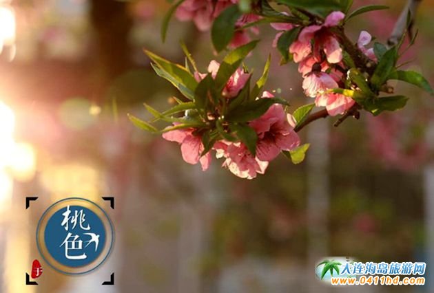 2025���B�ѻ��p������