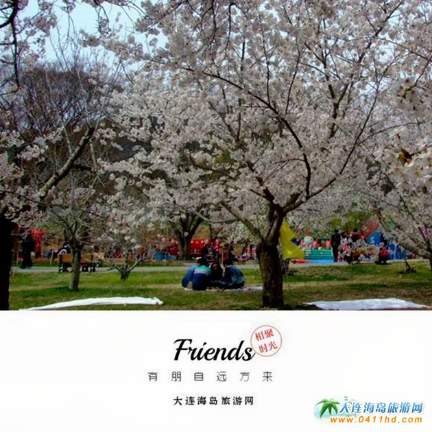 2025���B�ѻ��p������