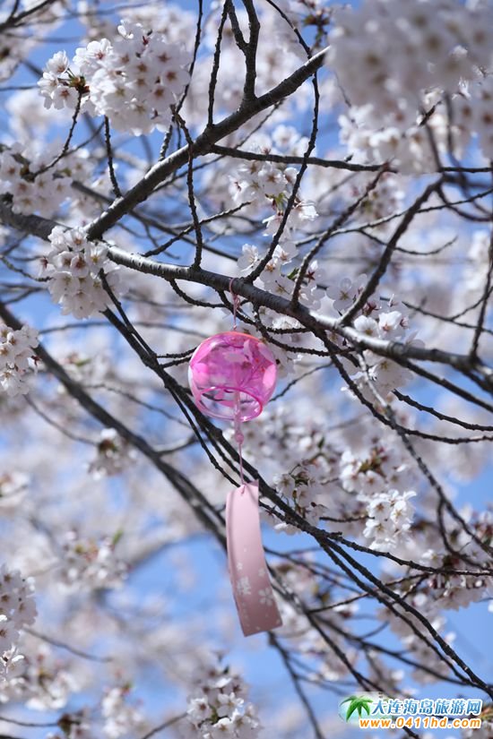 2025���B�ѻ��p������