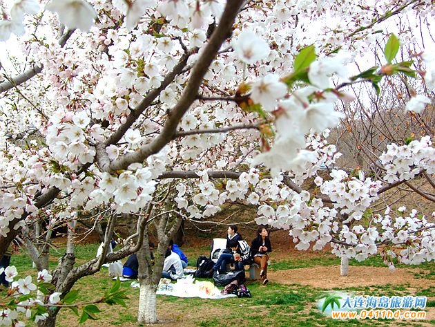 2025�Ї�(gu��)ʮ��ѻ��ٵؼ��p�ѹ���