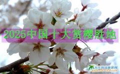 �ѻ������Ї����P�c2025�Ї�ʮ��ѻ��ٵؼ��p�ѹ���