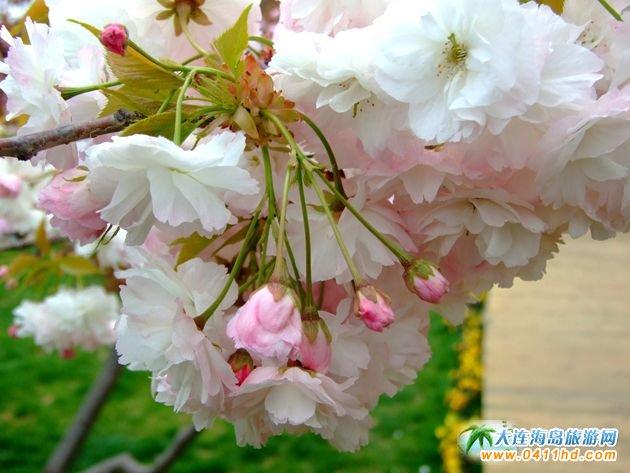 2025�Ї�(gu��)ʮ��ѻ��ٵؼ��p�ѹ���