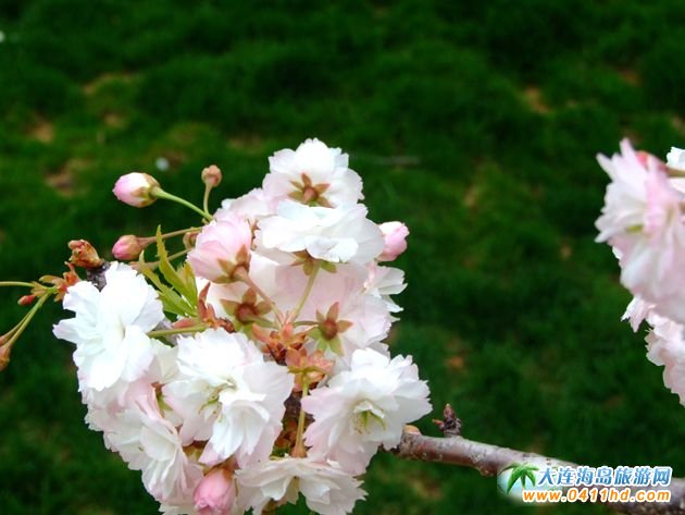 2025�Ї�(gu��)ʮ��ѻ��ٵؼ��p�ѹ���