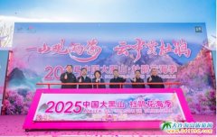 2025���ɽ���N��������ʽ��Ļ,�TƱ����ͨ��·��������