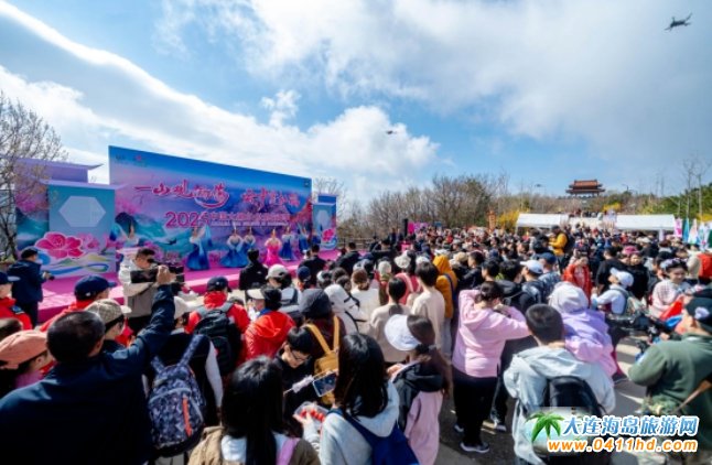 2025���ɽ���N������