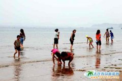 �p���^�B���s��������@�����ںܟ��[