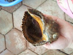 ����ʯ�Ǎu��֮퍶ȼٴ����(w��)�˜�