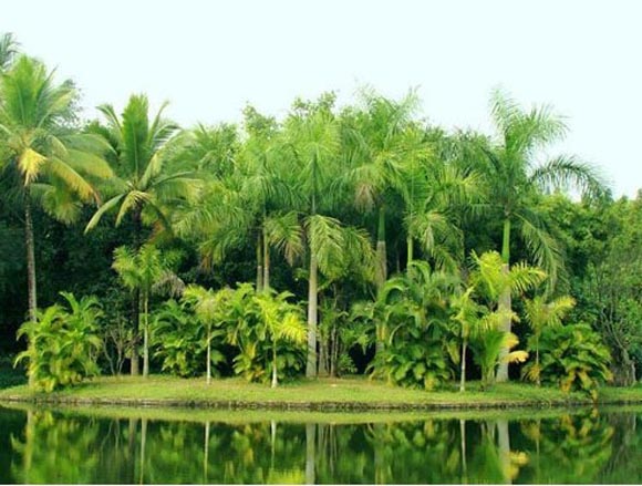 �����B���������Ρ��{(l��n)��(m��ng)֮�ú���6����